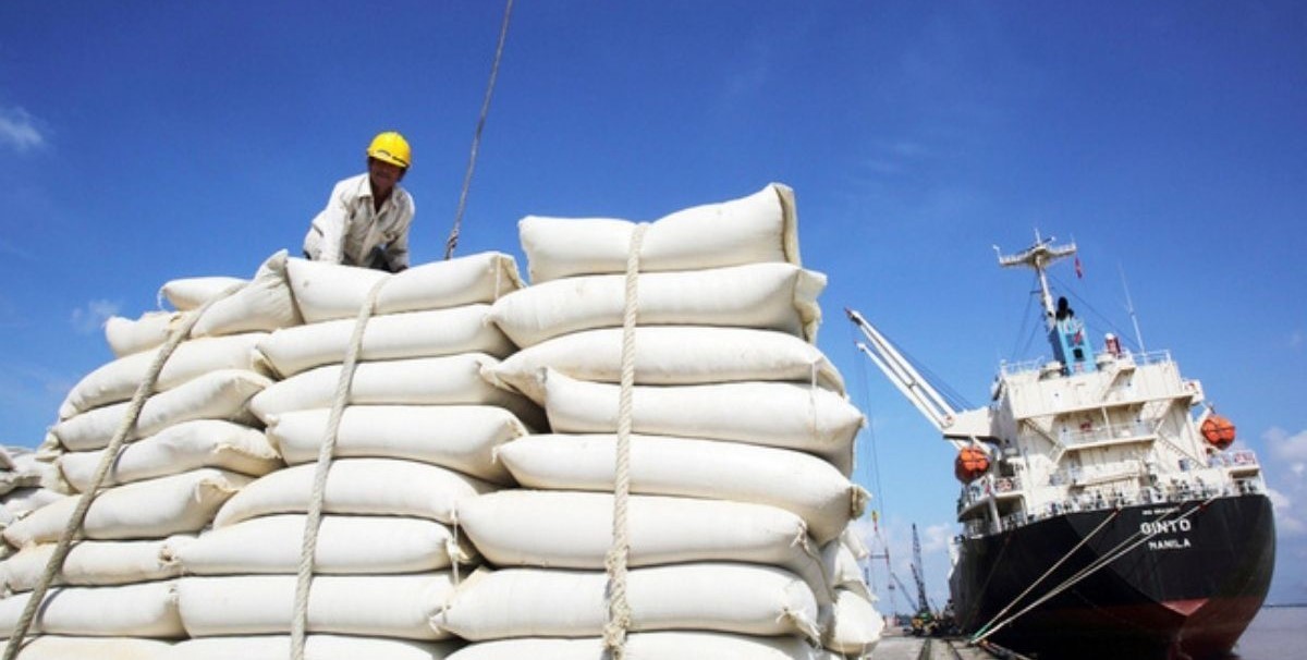 واردات برنج شرطی شد