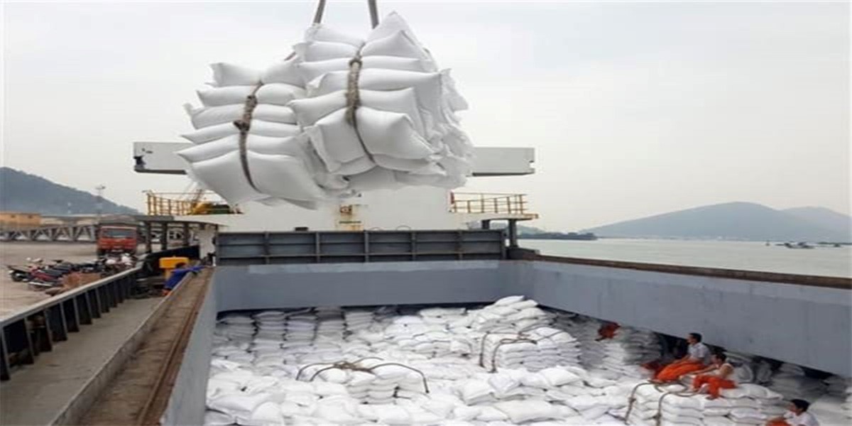 مراحل صادرات برنج