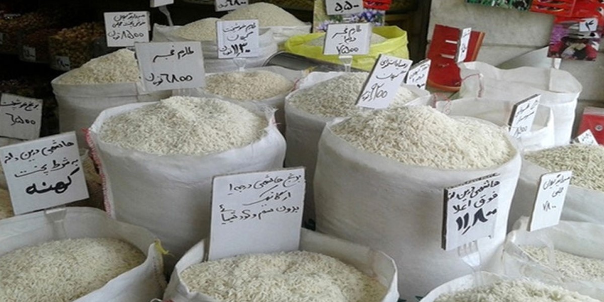 برنج ایرانی ارزان می شود