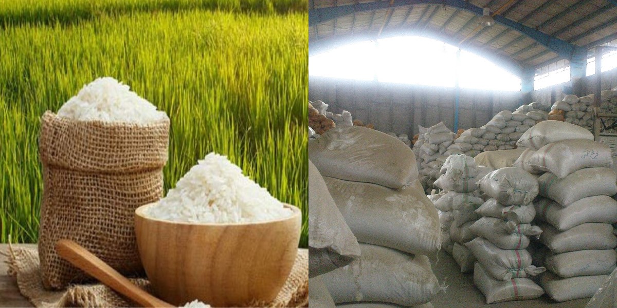 برنامه ریزی دولت برای صادرات برنج
